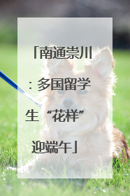 南通崇川：多国留学生“花样”迎端午