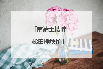 南靖土楼畔 梯田插秧忙