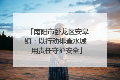 南阳市卧龙区安皋镇：以行动排查水域 用责任守护安全