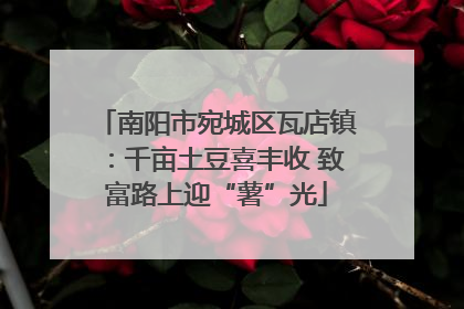 南阳市宛城区瓦店镇：千亩土豆喜丰收 致富路上迎“薯”光