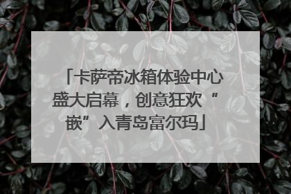 卡萨帝冰箱体验中心盛大启幕，创意狂欢“嵌”入青岛富尔玛