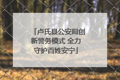卢氏县公安局创新警务模式 全力守护百姓安宁