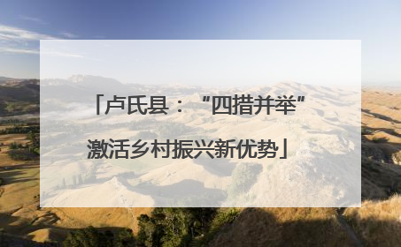 卢氏县：“四措并举”激活乡村振兴新优势