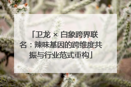 卫龙 × 白象跨界联名：辣味基因的跨维度共振与行业范式重构