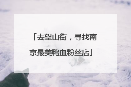 去望山街，寻找南京最美鸭血粉丝店