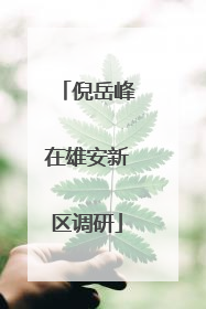 倪岳峰在雄安新区调研