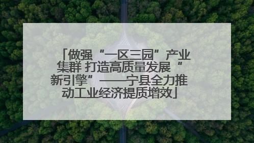做强“一区三园”产业集群 打造高质量发展“新引擎”——宁县全力推动工业经济提质增效