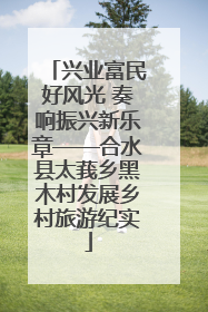 兴业富民好风光 奏响振兴新乐章——合水县太莪乡黑木村发展乡村旅游纪实