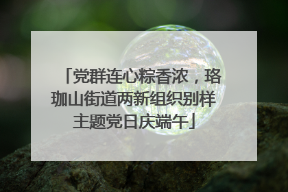 党群连心粽香浓，珞珈山街道两新组织别样主题党日庆端午