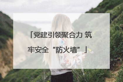 党建引领聚合力 筑牢安全“防火墙”