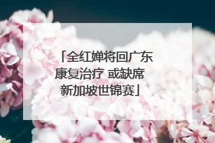 全红婵将回广东康复治疗 或缺席新加坡世锦赛