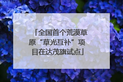 全国首个荒漠草原“草光互补”项目在达茂旗试点