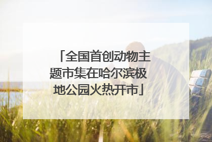全国首创动物主题市集在哈尔滨极地公园火热开市
