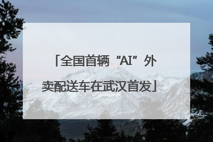 全国首辆“AI”外卖配送车在武汉首发