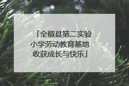 全椒县第二实验小学劳动教育基地收获成长与快乐