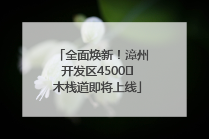 全面焕新！漳州开发区4500㎡木栈道即将上线