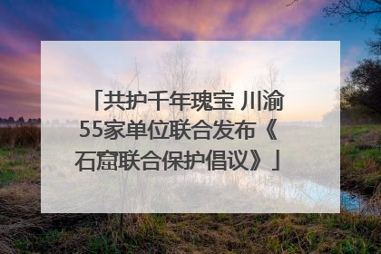 共护千年瑰宝 川渝55家单位联合发布《石窟联合保护倡议》