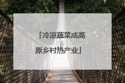 冷凉蔬菜成高原乡村热产业