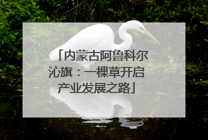 内蒙古阿鲁科尔沁旗：一棵草开启产业发展之路