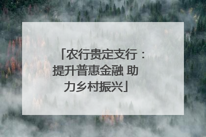 农行贵定支行：提升普惠金融 助力乡村振兴