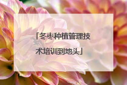 冬枣种植管理技术培训到地头
