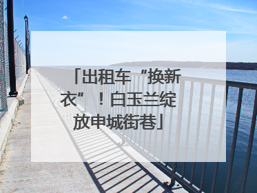 出租车“换新衣”！白玉兰绽放申城街巷