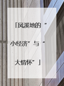凤溪地的“小经济”与“大情怀”