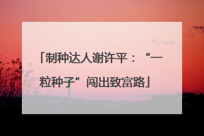 制种达人谢许平：“一粒种子”闯出致富路