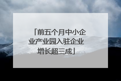 前五个月中小企业产业园入驻企业增长超三成