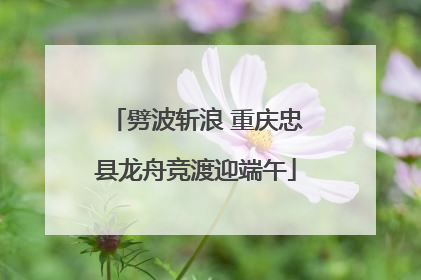 劈波斩浪 重庆忠县龙舟竞渡迎端午