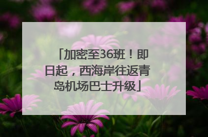 加密至36班！即日起，西海岸往返青岛机场巴士升级