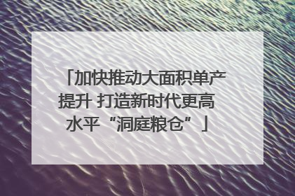 加快推动大面积单产提升 打造新时代更高水平“洞庭粮仓”