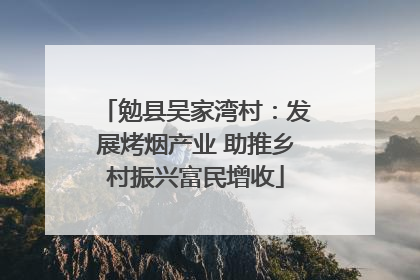 勉县吴家湾村：发展烤烟产业 助推乡村振兴富民增收