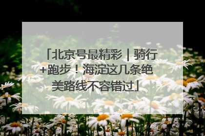 北京号最精彩｜骑行+跑步！海淀这几条绝美路线不容错过