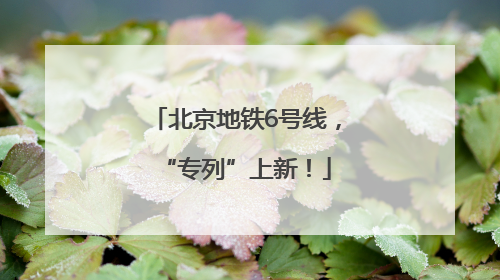 北京地铁6号线，“专列”上新！