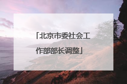 北京市委社会工作部部长调整