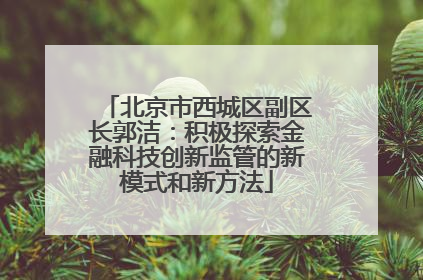 北京市西城区副区长郭洁：积极探索金融科技创新监管的新模式和新方法