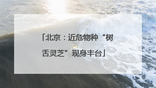 北京：近危物种“树舌灵芝”现身丰台