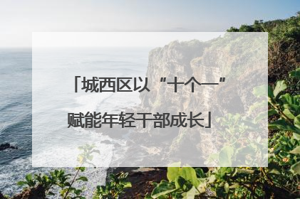 城西区以“十个一”赋能年轻干部成长
