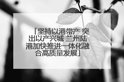 坚持以港带产 突出以产兴城 兰州陆港加快推进一体化融合高质量发展