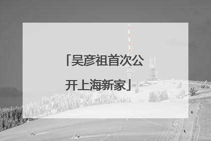 吴彦祖首次公开上海新家