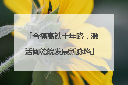 合福高铁十年路，激活闽赣皖发展新脉络