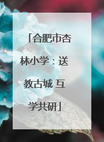 合肥市杏林小学：送教古城 互学共研