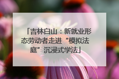 吉林白山：新就业形态劳动者走进“模拟法庭”沉浸式学法
