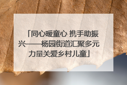 同心暖童心 携手助振兴——杨园街道汇聚多元力量关爱乡村儿童