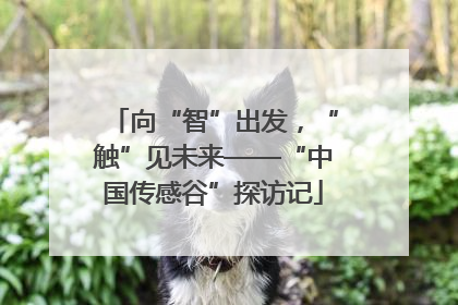 向“智”出发，“触”见未来——“中国传感谷”探访记