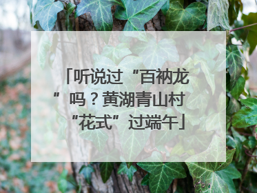 听说过“百衲龙”吗？黄湖青山村“花式”过端午