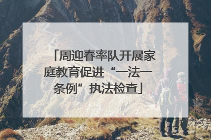 周迎春率队开展家庭教育促进“一法一条例”执法检查