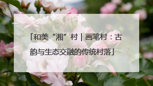 和美“湘”村｜画笔村：古韵与生态交融的传统村落