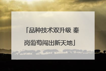 品种技术双升级 秦岗葡萄闯出新天地